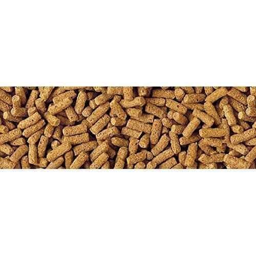 Fiskfoder - Tetra Pond - Vetegrynssticks - Flytande - Speciellt för kallt väder - 32% protein