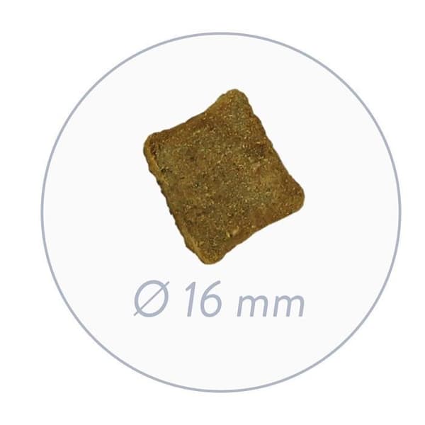 Kroketter för Seniorhundar - Bosch - HPC Plus - Get/Gödda Potatisar - 12,5 kg - Svart