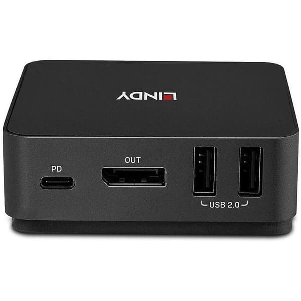 Lindy 2 Port Typ C DisplayPor Grå