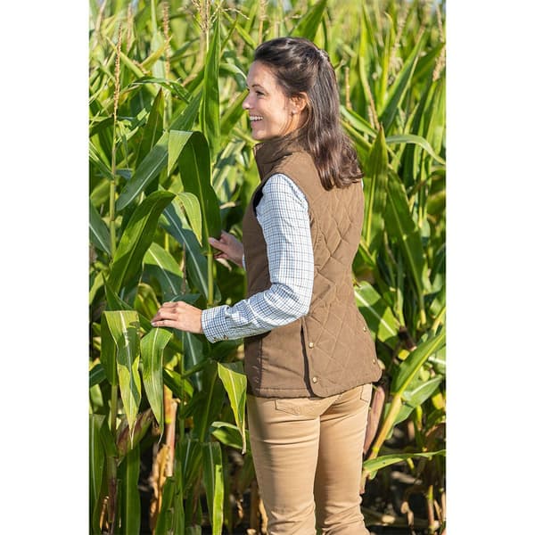 Baleno Vest Chester Brun XL