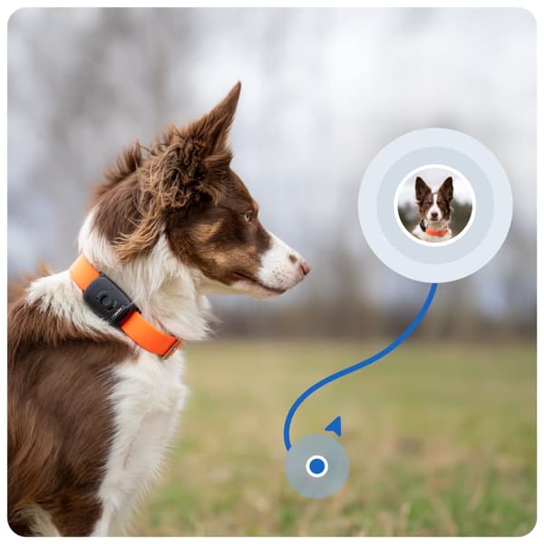 GPS-sporer for hund og katt – MiniFinder Atto Pro