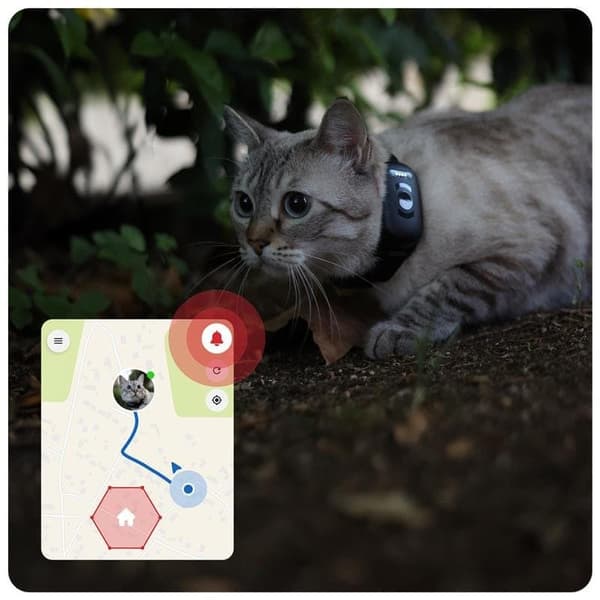 GPS-sporer for hund og katt – MiniFinder Atto Pro