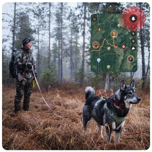 GPS-hundetracker til jagt – MiniFinder Rex