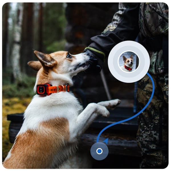 GPS-hundetracker til jagt – MiniFinder Rex