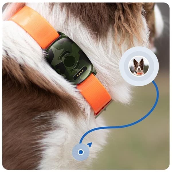 Smidig GPS Hundpejl - MiniFinder Vexo