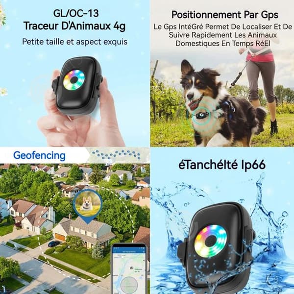 INN Collier gps 4G med färgglada LED-lampor GPS BDS djurspårare GPS-tracker för djur lokaliserare för katter och hundar