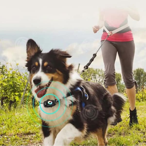 INN Collier gps 4G med färgglada LED-lampor GPS BDS djurspårare GPS-tracker för djur lokaliserare för katter och hundar
