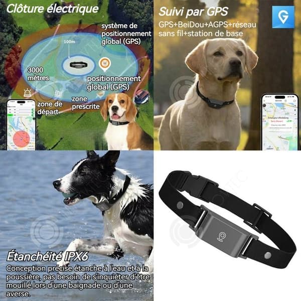 INN Collier gps 4G GPS+LBS+AGPS 500mah IP66 vattentålig djurtracker gps-spårare för katter och hundar