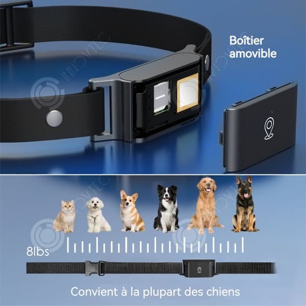 INN Collier gps 4G GPS+LBS+AGPS 500mah IP66 vattentålig djurtracker gps-spårare för katter och hundar