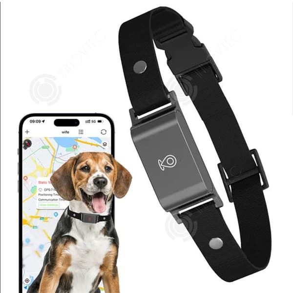 INN Collier gps 4G GPS+LBS+AGPS 500mah IP66 vattentålig djurtracker gps-spårare för katter och hundar
