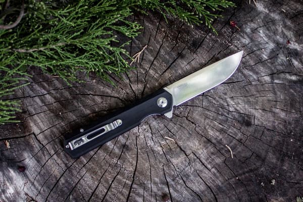 Firebird By Ganzo - FH11 - Folding knife D2 !