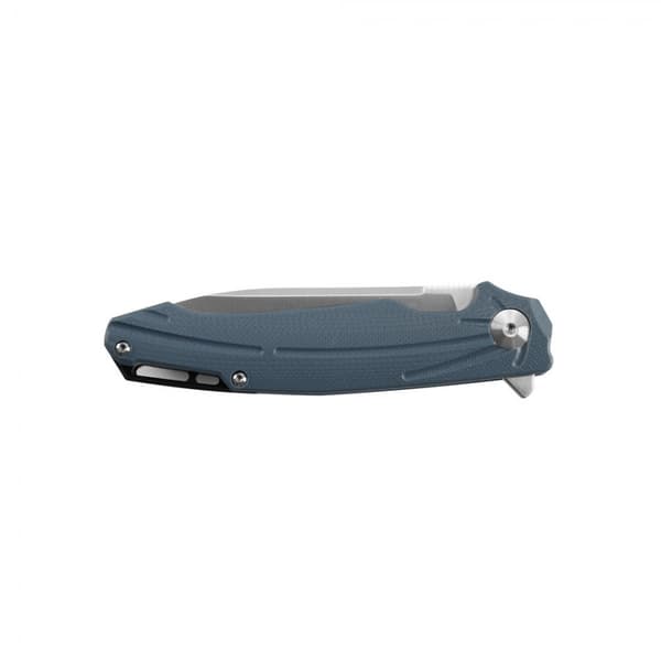 Firebird by Ganzo - FH21 folding knife in D2
