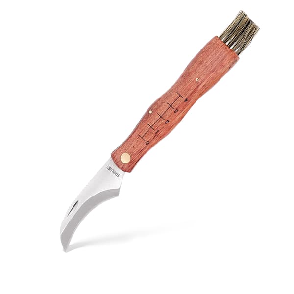 Hopfällbar svampkniv MAIN Knives Svampkniv 7000 420 Bubinga Trä