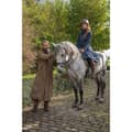 Miniatyrbillede 7 af 8: Baleno Jakke Livingstone Brun XL