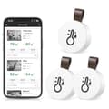 Miniatyrbillede 1 af 8: Lollanda Bluetooth termometer og hygrometer med datalagring / trådløst termometer og hygrometer, pakke med 1/2/3