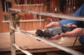 Miniatyrbillede 2 af 6: Dremel Aluminiumoxid slibesten 9,5 mm - 952