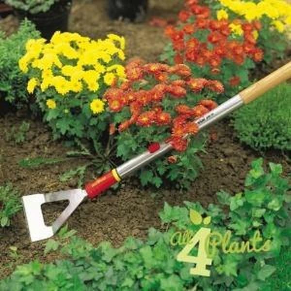 WOLF-Garten MultiStar® DH-M - Hoe - 13 cm bred
