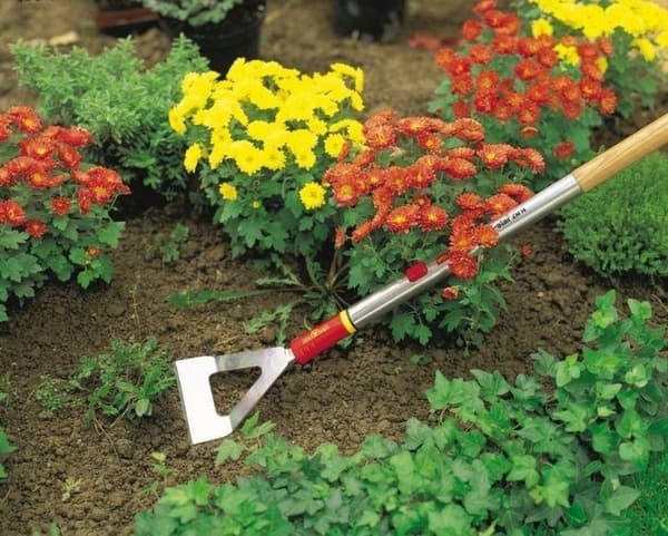 WOLF-Garten MultiStar® DH-M - Hoe - 13 cm bred