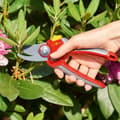 Pikkukuva 10 / 11: WOLF-Garten-oksat "Premium Plus" RR 4000 - max. leikkaushalkaisija 22 mm - vasen- ja oikeakätinen - pehmeä sisäkahva - leikkauskulma 30° - suurille kä
