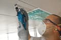 Miniatyrbillede 2 af 4: Bosch Professional GOP 30-28 Multiværktøj - Oscillerende - 300 Watt - Inklusiv 12 tilbehør og L-BOXX