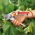 Miniatyrbillede 3 af 3: WOLF-Garten Sekatører "Professional" RR 5000 - max. skærediameter 25 mm - venstre- og højrehåndet - skærevinkel 30° - udskiftelige knive