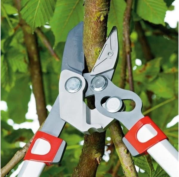 WOLF-Garten Loppers POWER CUT RS 650 - længde 650 mm - aluminiumsarme - 2x mere kraft - justerbar klingespænding - ambolt