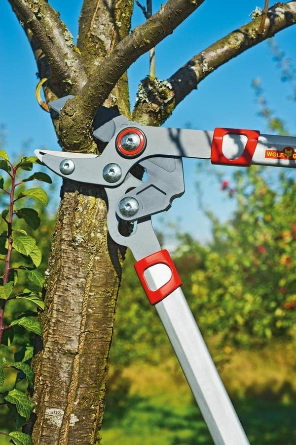 WOLF-Garten Loppers POWER CUT RS 650 - længde 650 mm - aluminiumsarme - 2x mere kraft - justerbar klingespænding - ambolt