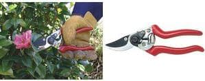 CK Secateurs Legend, Flerfarvet, 215 mm