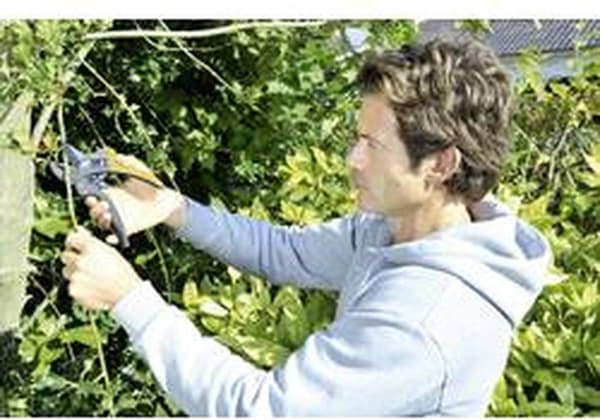 Fiskars Powerstep sekatør Ambolt P83 - 18 cm