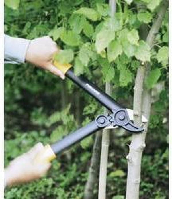 Fiskars L31 Loppere