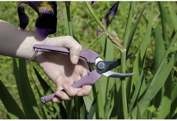 Bahco - P123-LILAC-B6 Beskæringssaks Regnbue - lilla