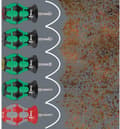 Pikkukuva 4 / 6: Wera 355 PZ Stubby 05008853001 Phillips-ruuvimeisseli PZ 1 Pään pituus: 25 mm