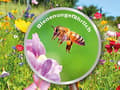 Pikkukuva 3 / 4: Wolf Garten nurmikon ja puutarhakalkki "Natura Bio" RG-K 200 (3836172)
