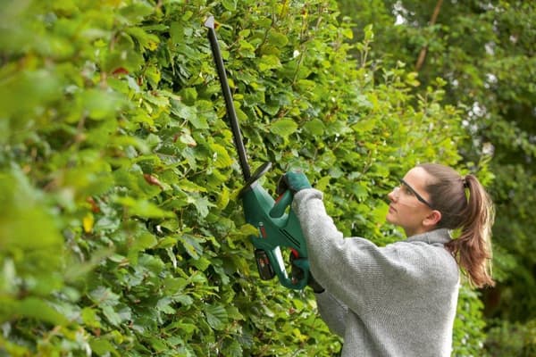 Bosch EasyHedgeCut 18-52-13 - häcksax - sladdlös - 18 V - 2 Ah laddare ingår - 2400 spm - 52 cm - tanddelning: 15 mm - 2,8 kg - för Bosch AL 1830 CV,