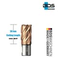 Miniatyrbillede 3 af 6: BDS kernebor HSSVarioPLUS 18.0mm cut.30mm Weldon mount (KBK-VP018)