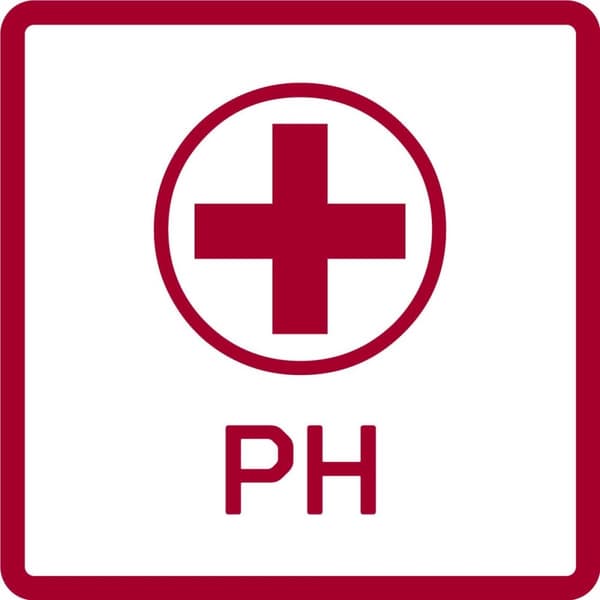 Gedore RED R22150013 6-delt skruetrækkersæt SL / - Philips