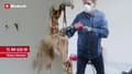 Miniatyrbillede 2 af 8: Einhell TC-RH 620 4F SDS-Plus borehammer 240 V 620 W (4257990)