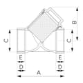 Miniatyrbillede 2 af 2: Skrånetfilter, hun-hun, DN25, G1