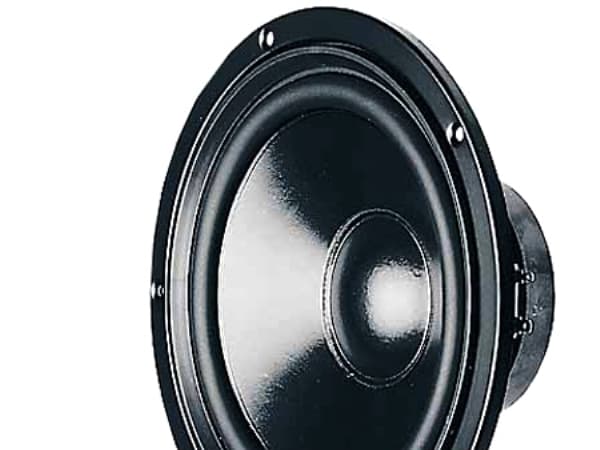 Visaton VS-W170S/8, 50 W, 80 W, 8 O, 33 – 8000 Hz, Svart, 1,1 kg