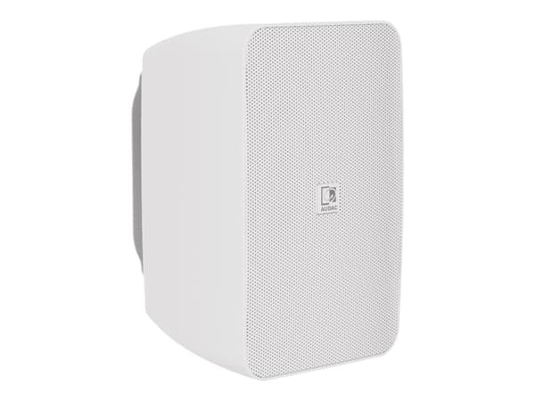 Audac ARES5A - Högtalare - för PA-system - 2-vägs - RAL 9003