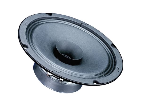 Visaton VS-BG17, 1.0 kanavaa, 40 W, 80 – 20000 Hz, 8 O, Musta