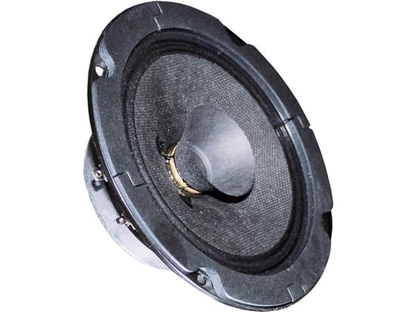 Visaton VS-BG13P, 20 W, 40 W, 8 O, 120 – 20000 Hz, 430 g