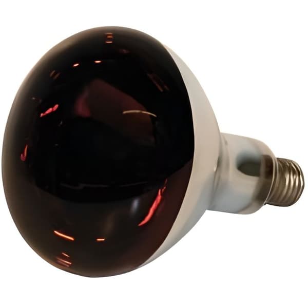 Värmelampa - Pet Elevage - Standard - 250W - Härdat glas - Användning inomhus