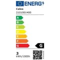 Miniatyrbillede 4 af 6: E27 LED-pære - CALEX - DECO XXL SUNDSVALL - Enkelt spiralformet glødetråd - 3W - 240 lm - 2200 K - Transparent / Varm hvidguld