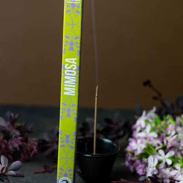 Mimosa japansk rökelse