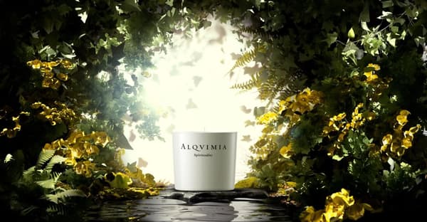 Alqvimia® Spirituality eteerinen kynttilä 175g