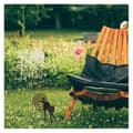 Miniatyrbild 3 av 4: Rökelsehållare - Godeffroy den svarta katten