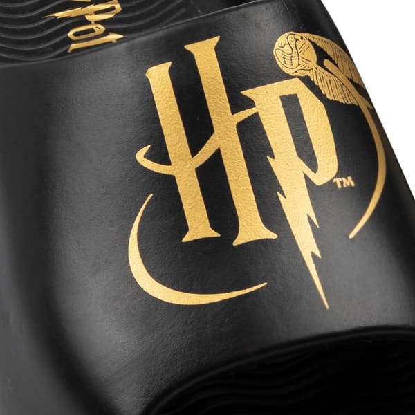 Harry Potter Childrens/Kids Golden Snitch Moulded Footbed Sliders