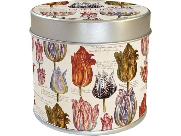 Duftlys 231 tulipaner - tulipan duft