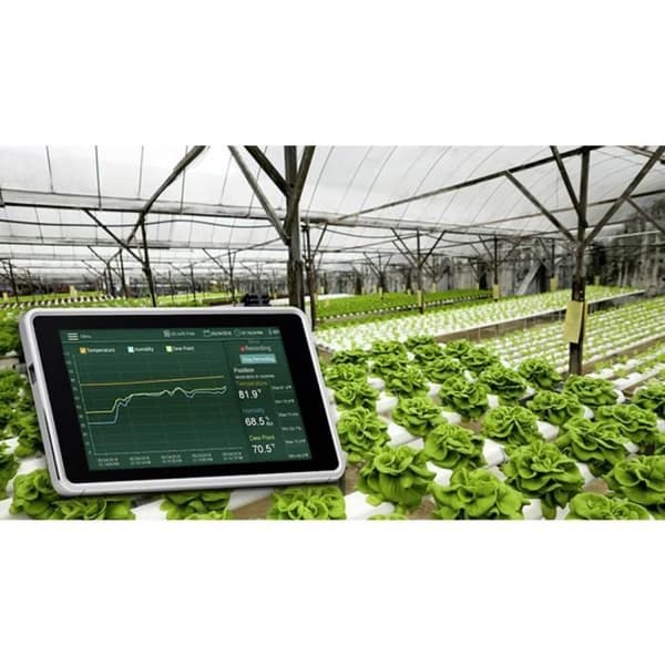 Extech RH550 Hygrometer 10% RH 95% RH Dataloggerfunktion, anti-mögel/daggpunktsdisplay